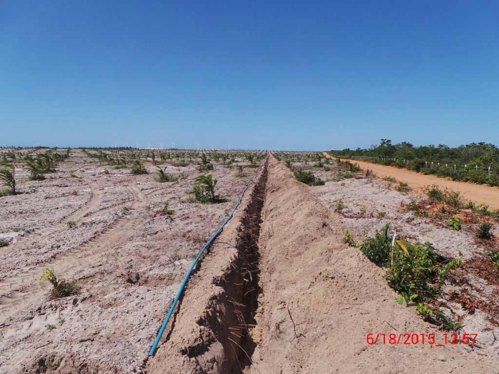 O nosso sistema de irrigação em torno da plantação Unique